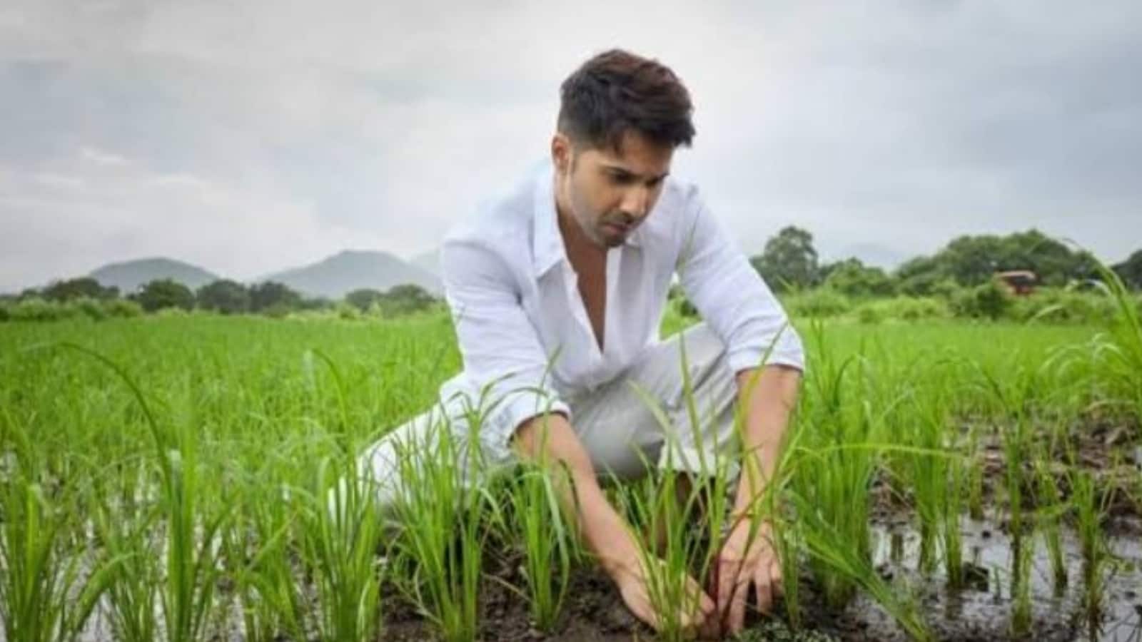 Varun Dhawan: वरुण धवन ने न्यूट्रिशन बिजनेस में रखा कदम, शार्क टैंक इंडिया की 'बेटर न्यूट्रिशन' में किया इनवेस्टमेंट