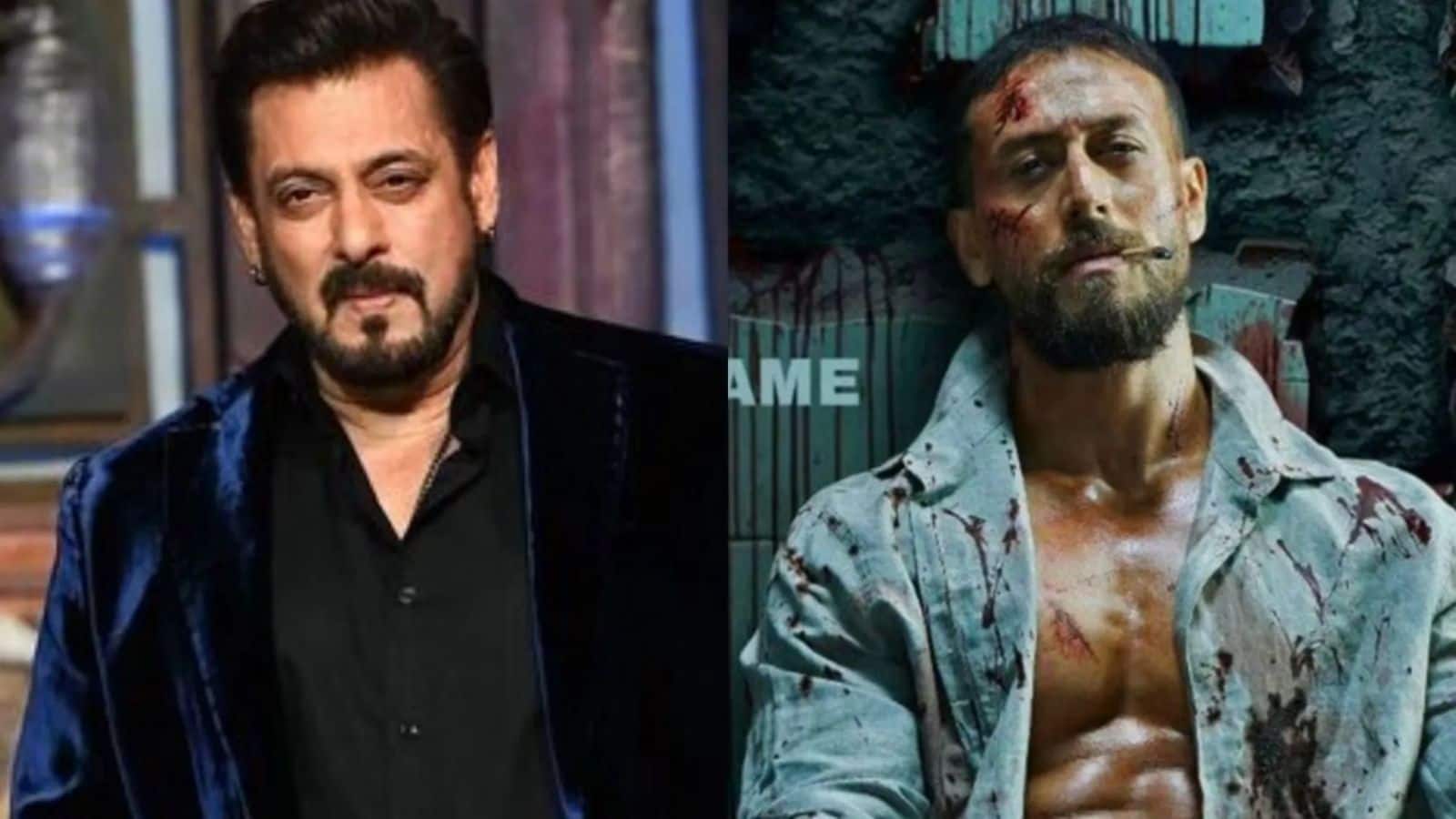 सलमान खान नहीं मिले तो टाइगर को मार दी गोली, लॉरेंस गैंग ने पुलिस के सामने किया बड़ा खुलासा